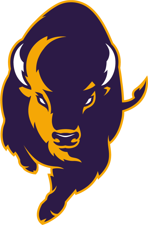 Lipscomb Bisons 2020-Pres Alternate Logo v2 diy DTF decal sticker